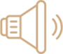 Speaker icon with sound waves